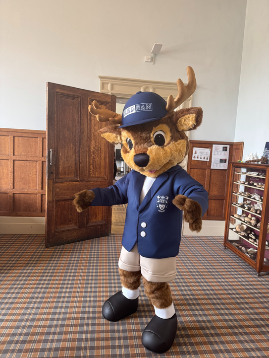 Reddy The Roe Deer