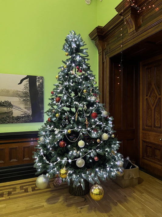 Christmas Trees